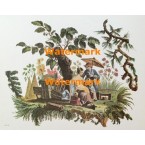 Scene  - #XBCH24  -  PRINT